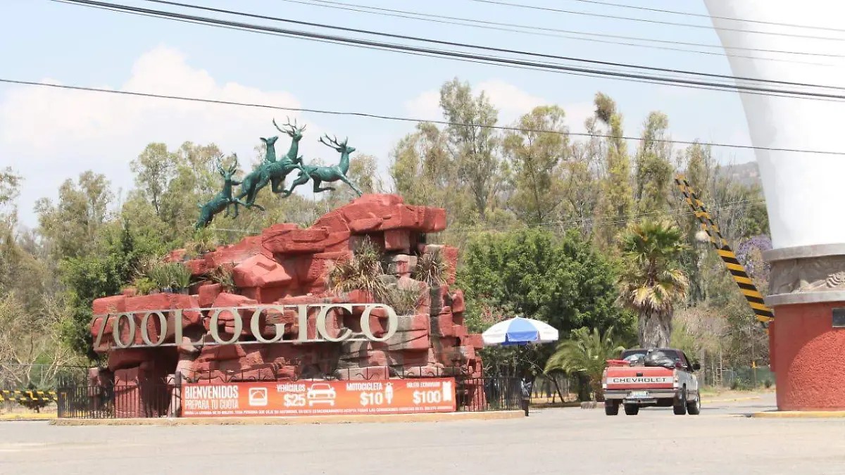 WhatsApp Image 2020-03-23 at 8.16.11 PM