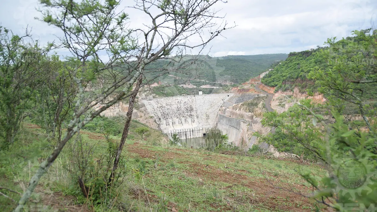 F CARMONA ZAPOTILLO(6)