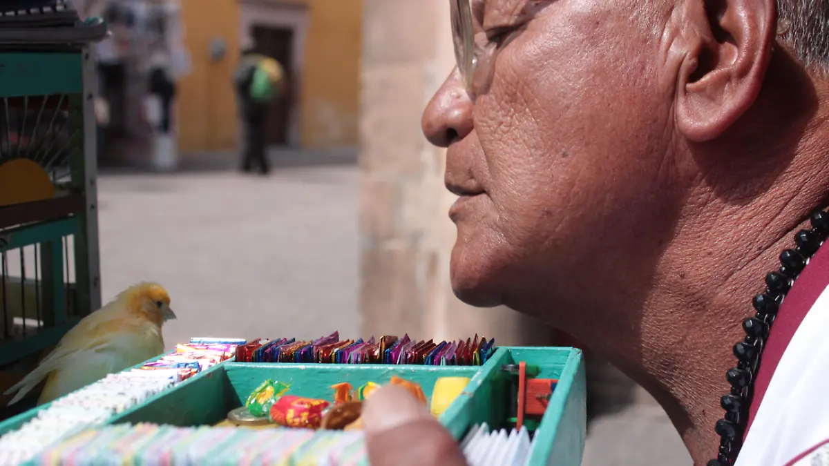 Pie de fotografía 1