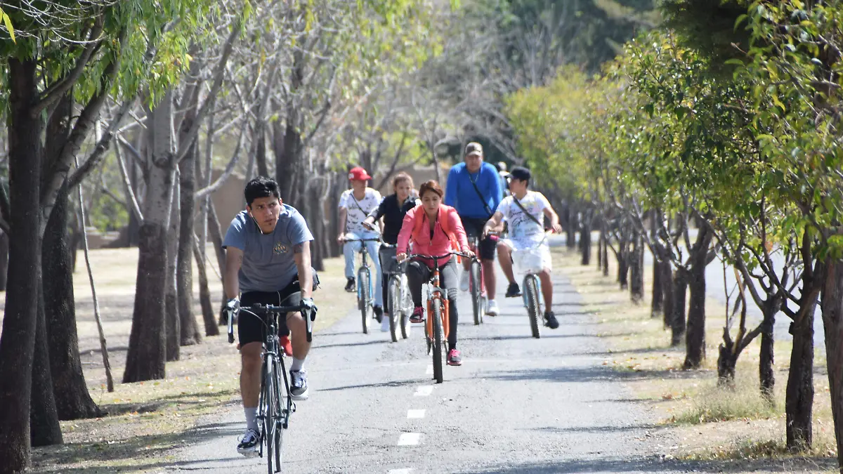 parque metropolitano (1)