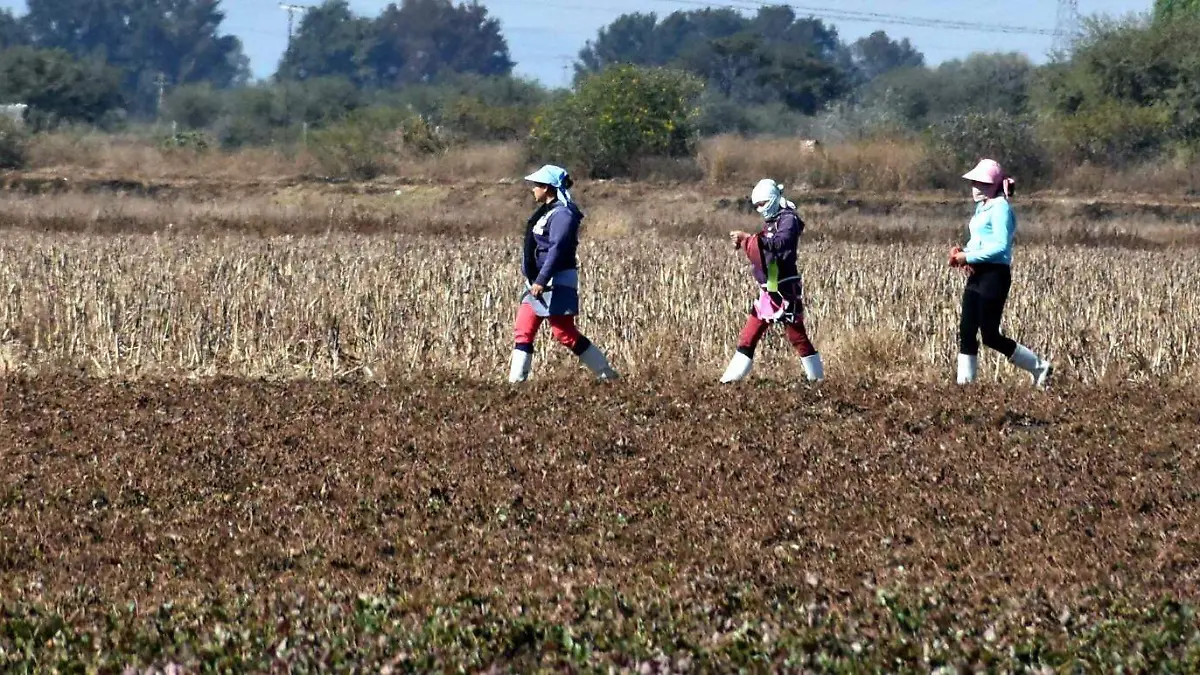 Las-familias-de-migrantes