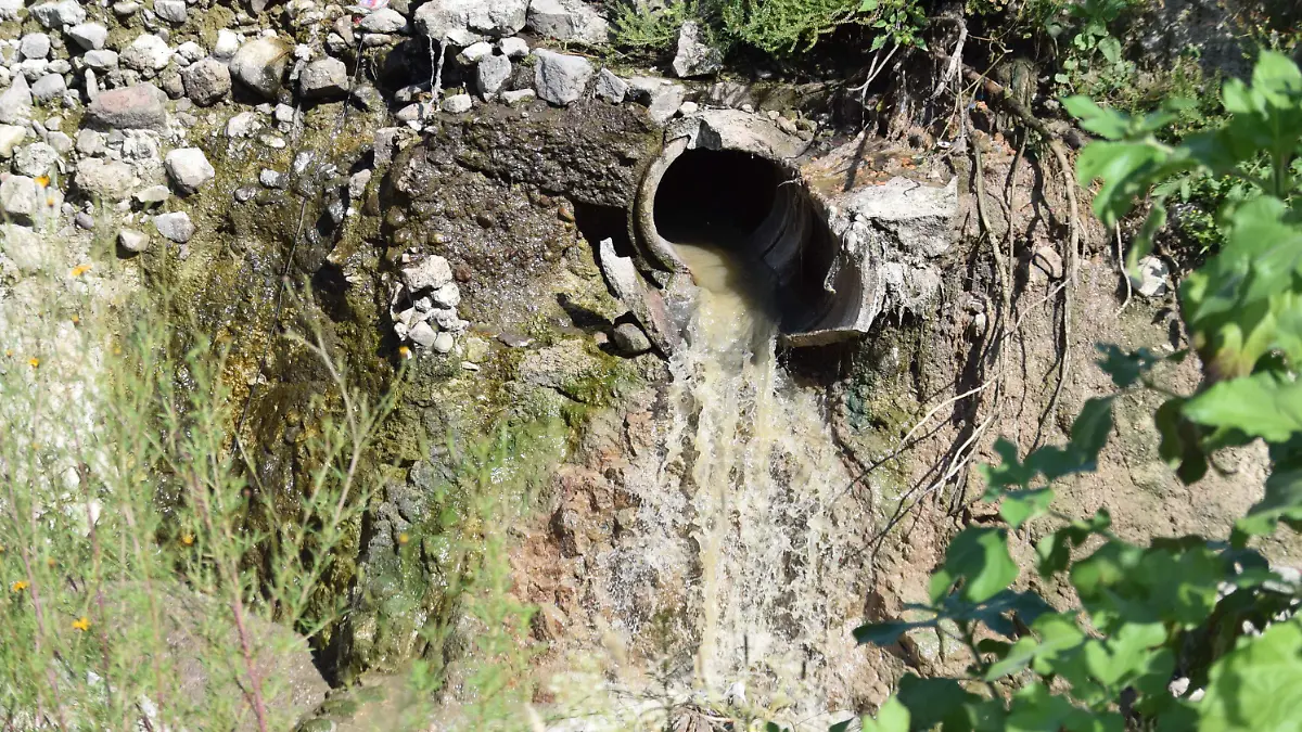 F CARMONA DRENAJE (2)