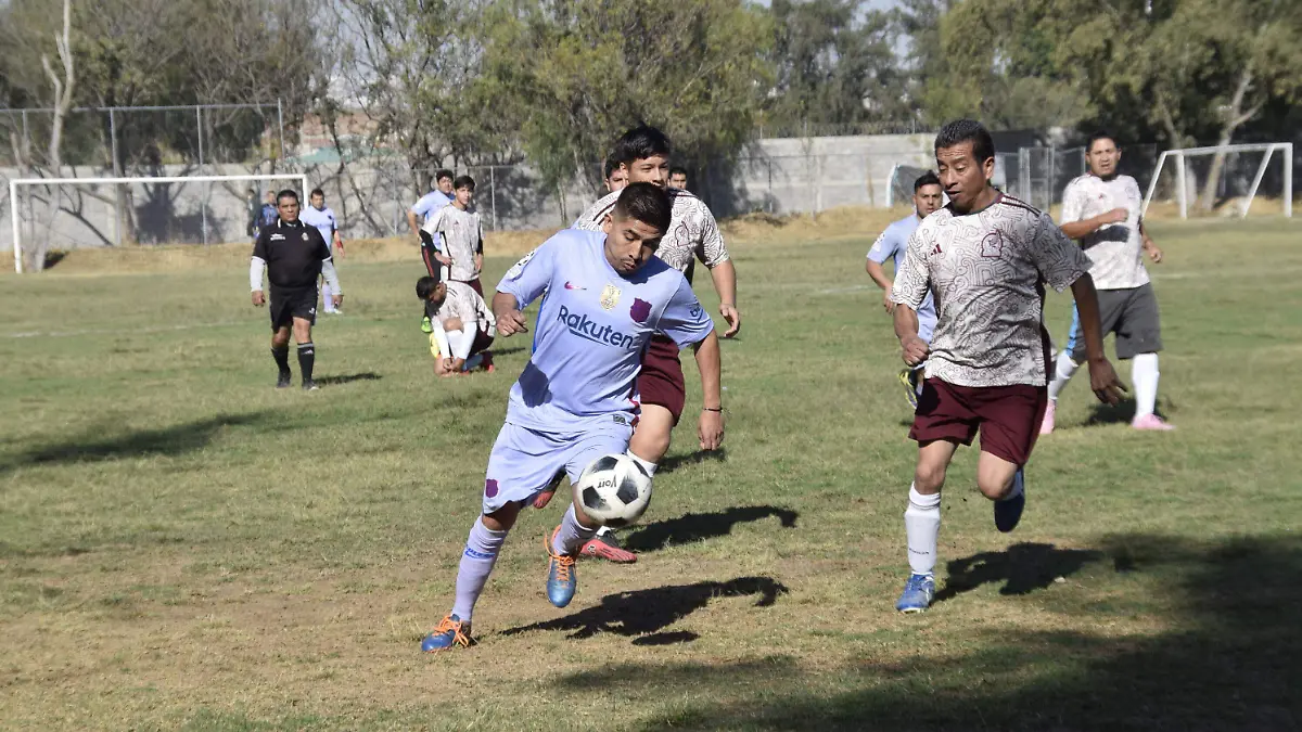 parque del arbol (2)