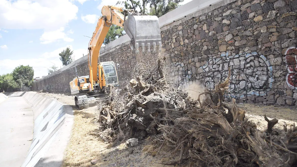 f carmona dia del arbol (2.2)