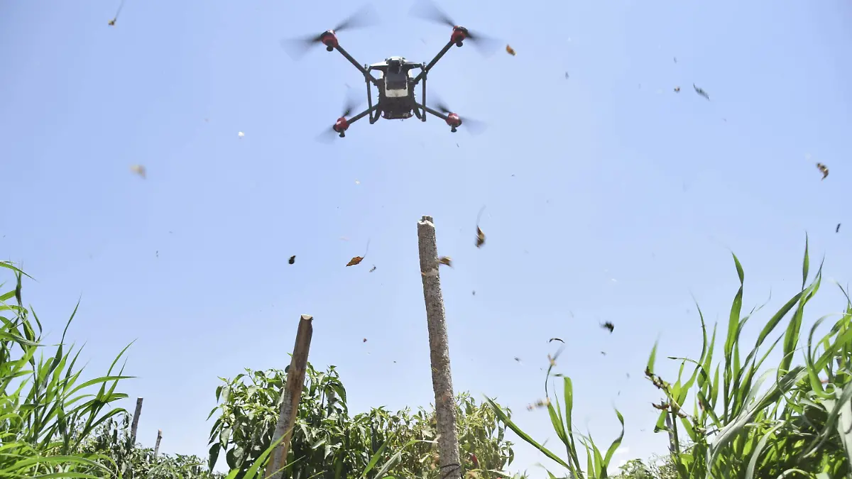 Drones