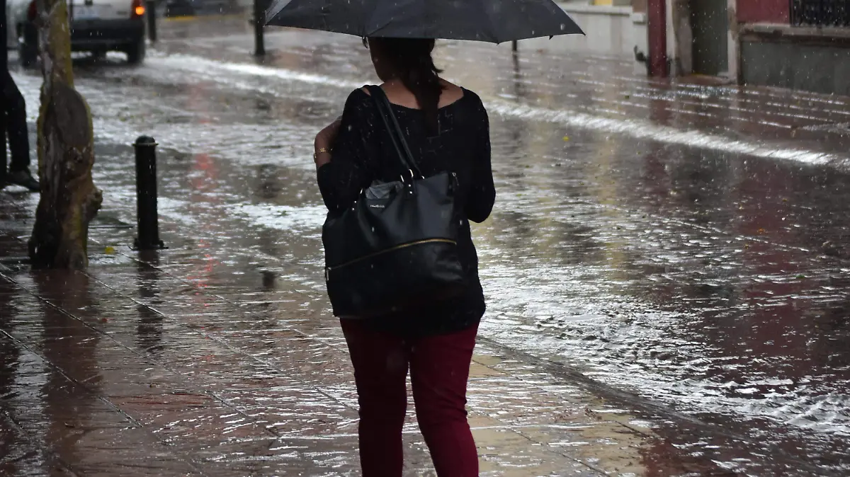 CLIMA (3)