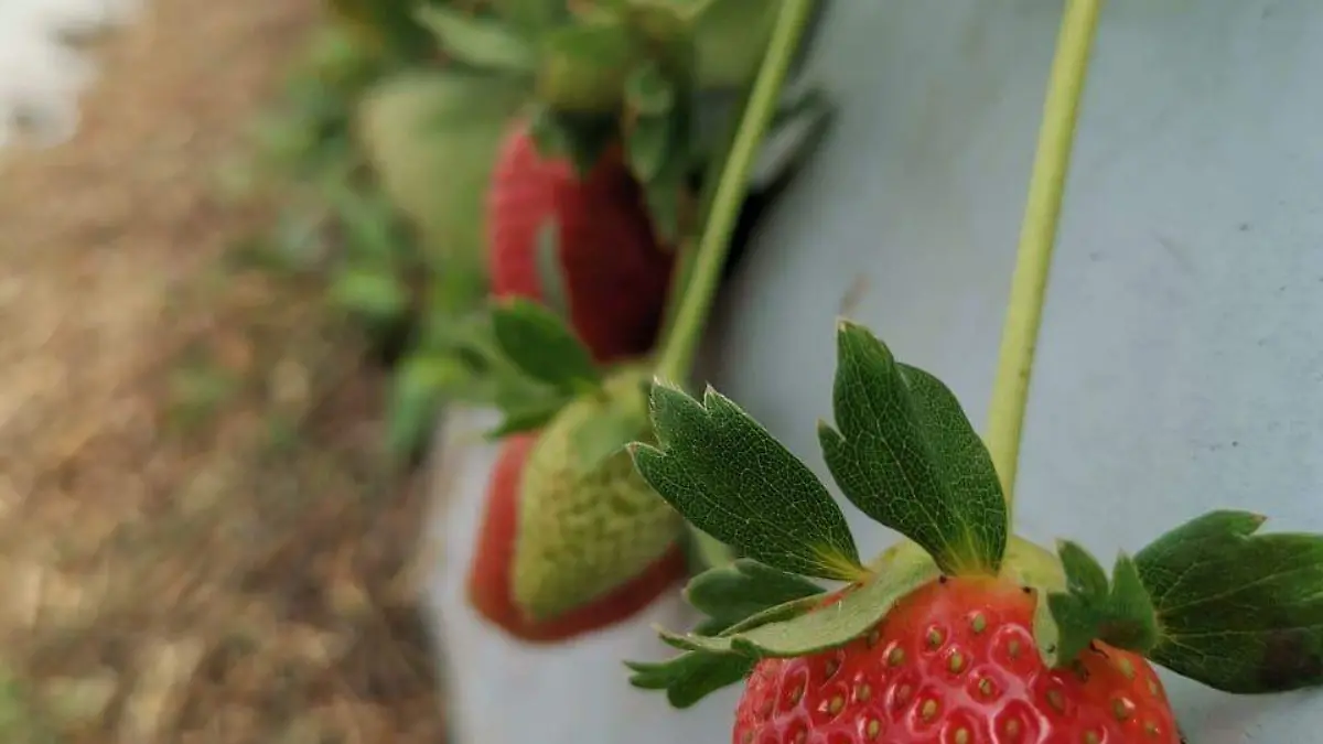 A-68-países-del-mundo-okokok