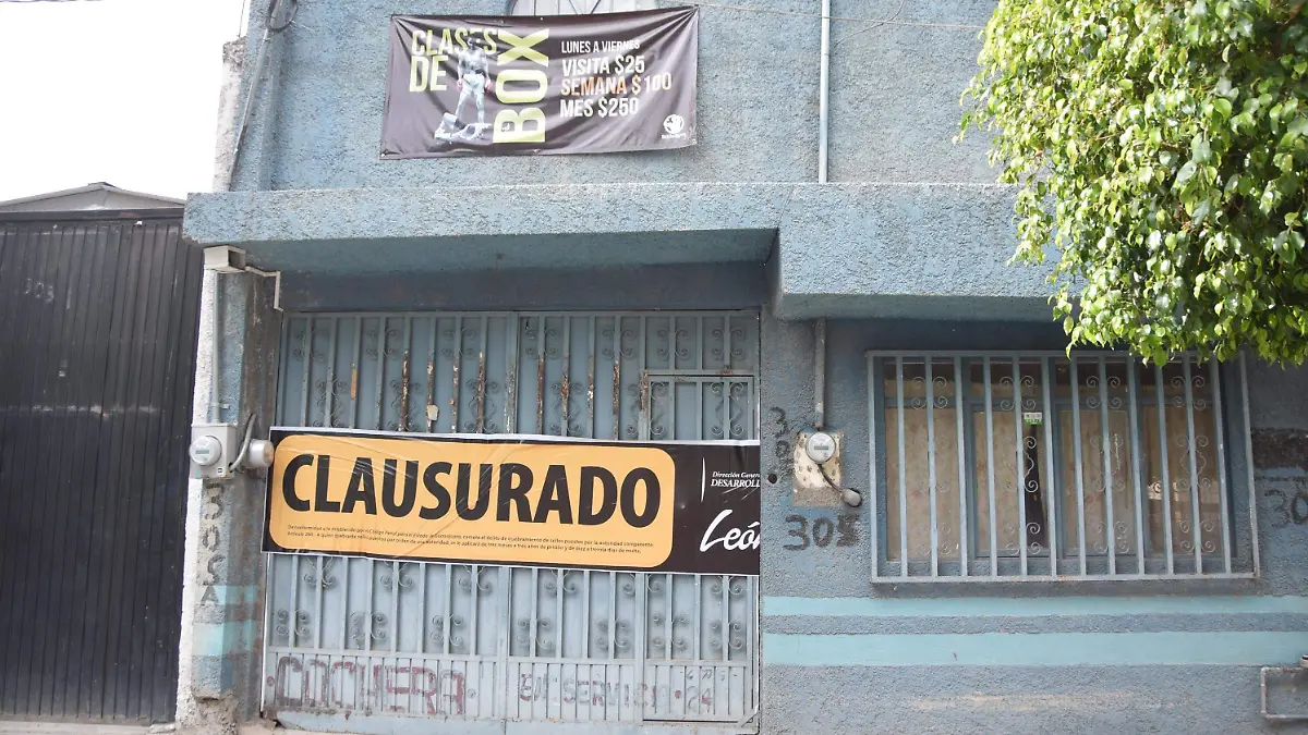 f carmona gimnacio (1)