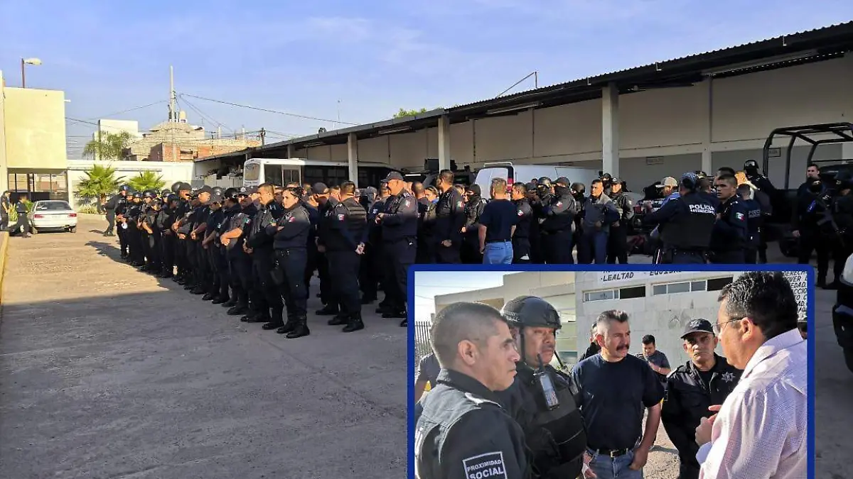 WhatsApp Image 2020-04-16 at 9.24.35 AM