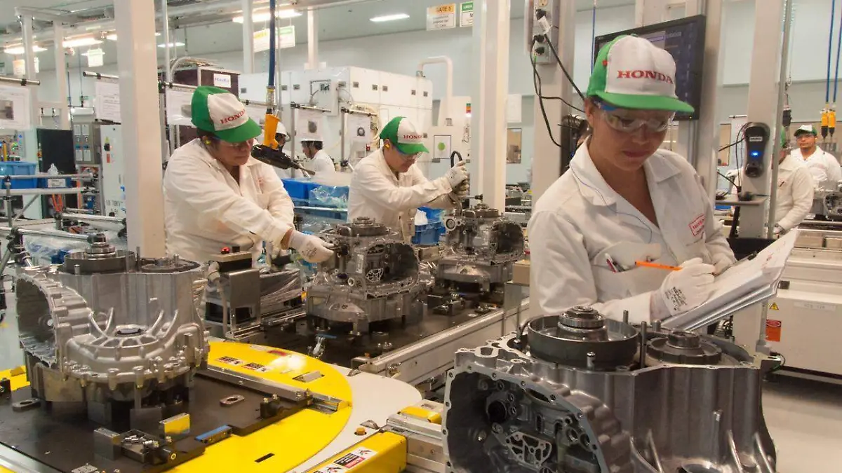 WhatsApp Image 2021-03-08 at 7.46.41 PM