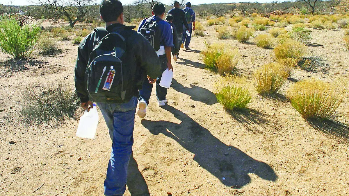 MIGRANTES (1)