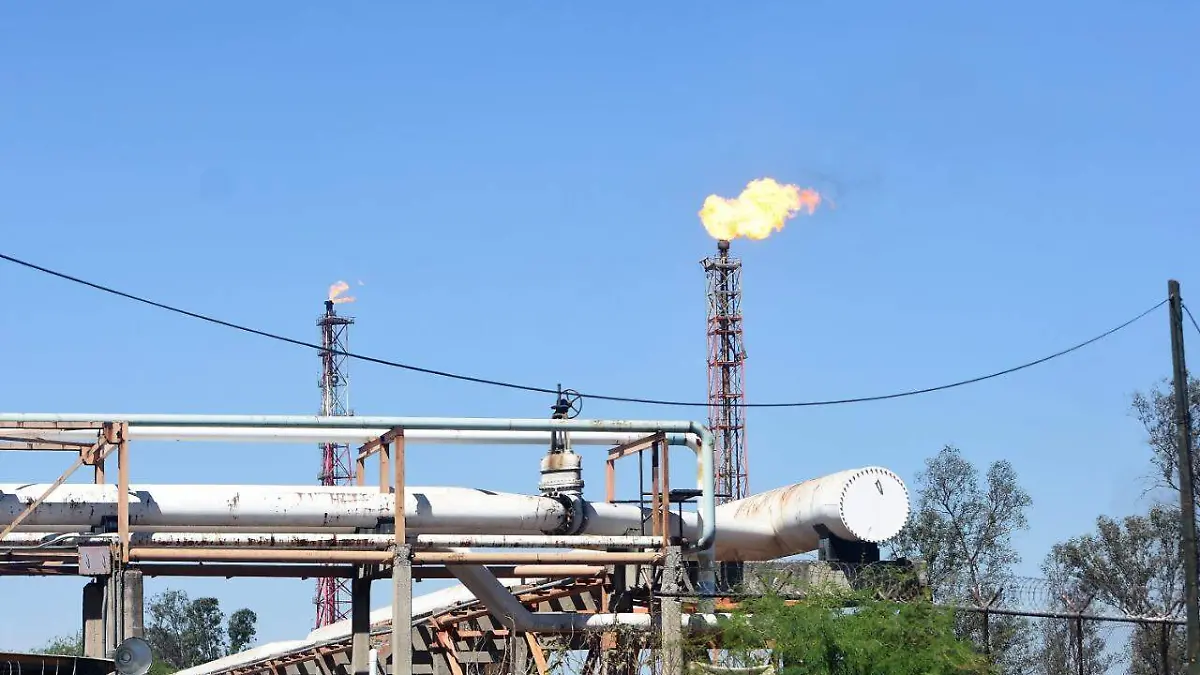 WhatsApp Image 2021-04-08 at 6.14.28 PM