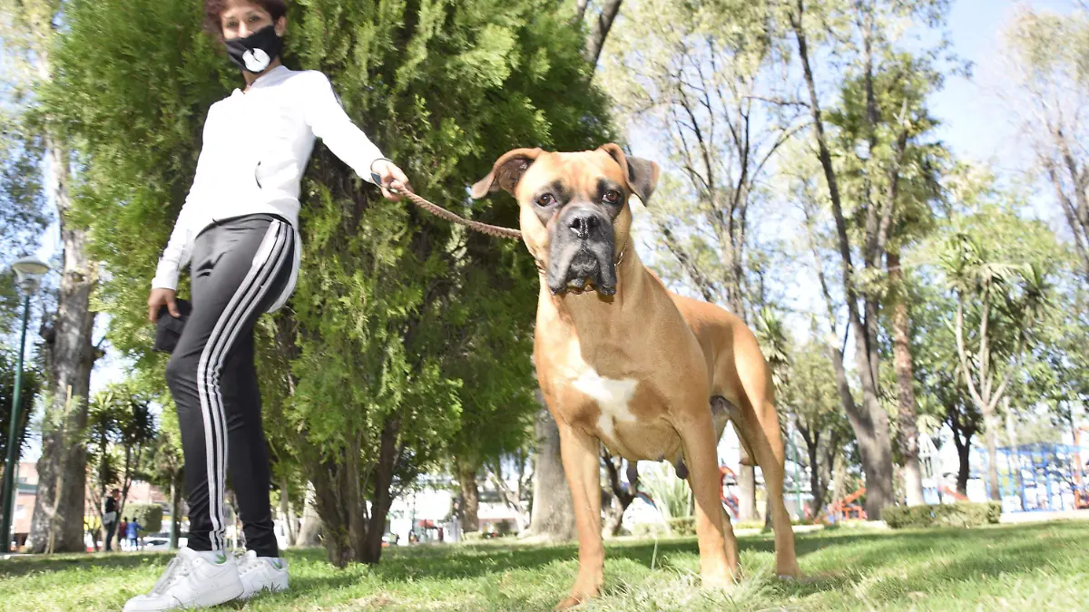 F CARMONA ANIMALANDIA (1)