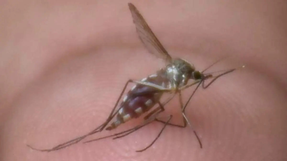 Autoridades-de-salud