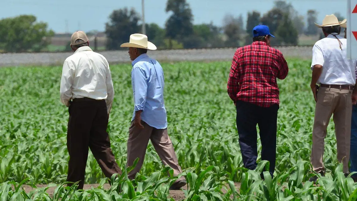 Migrantes-han-enviado