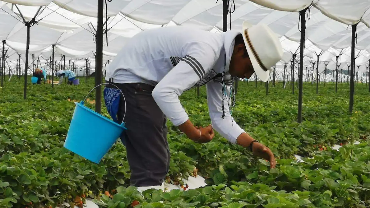 A-68-países-del-mundo