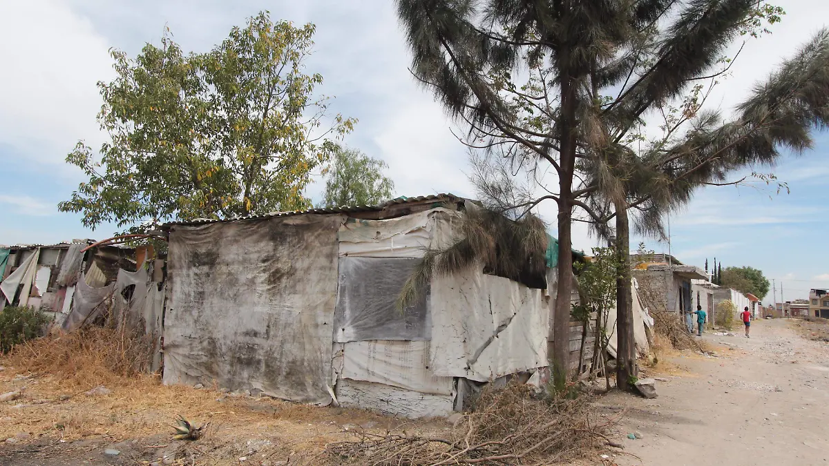 IMUVI(IRREGULARES) (7)