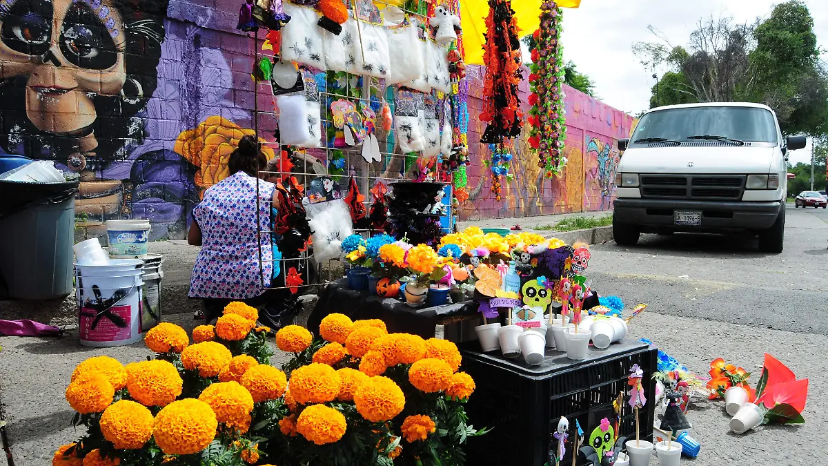 E.CAMACHO - FLORES 2