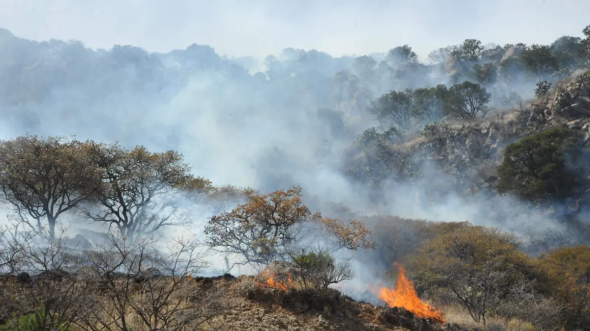 F CARMONA INCENDIOS (3)