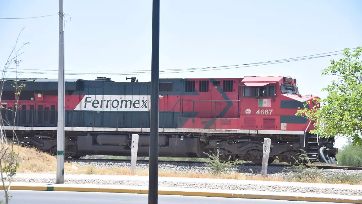 FCO CARMONA - TREN (5)