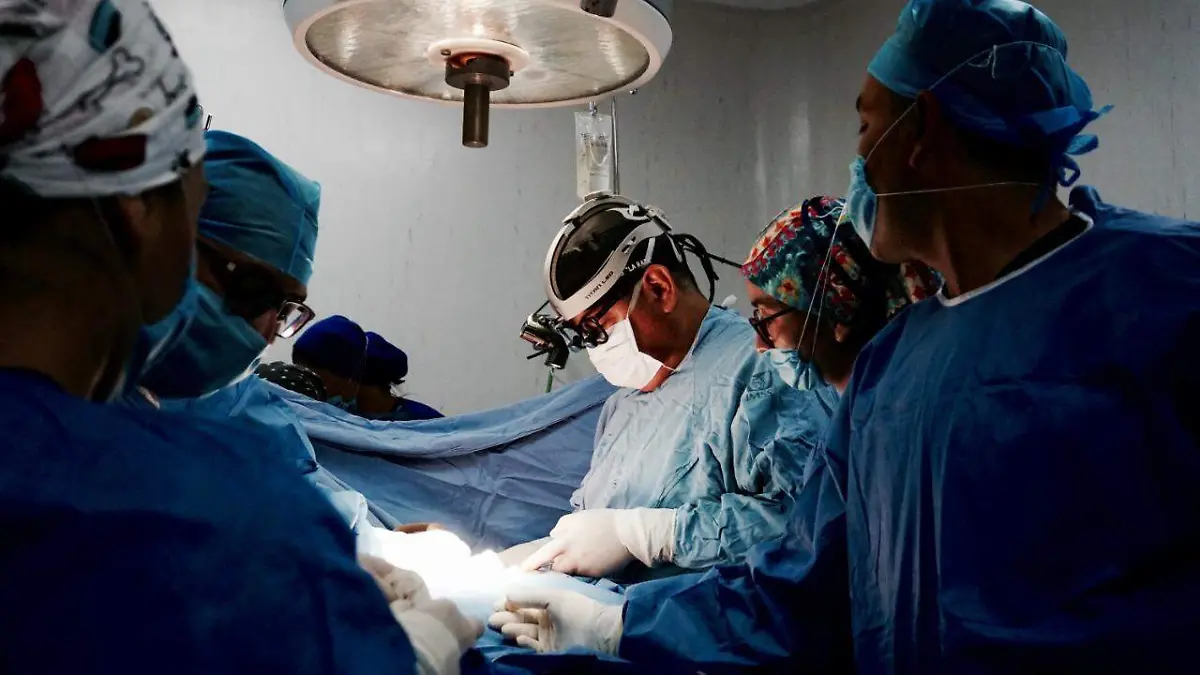 2. Procuración multiorgánica Guanajuato_220120