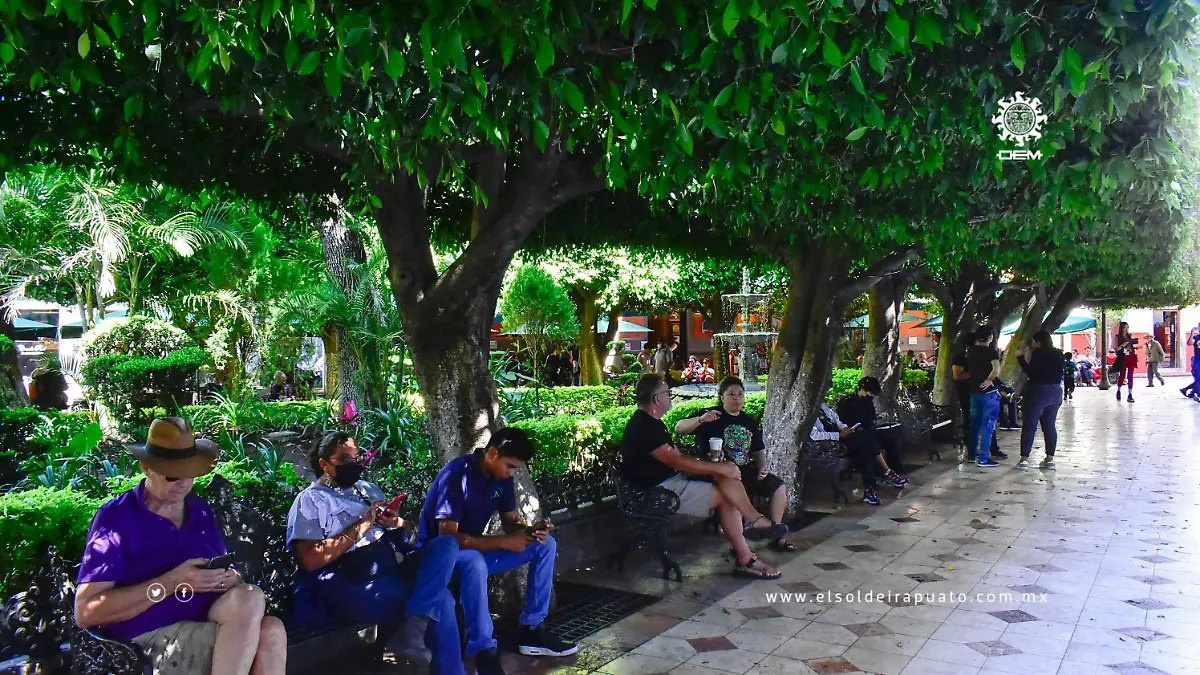 Llega-ambientación-sonora (1)