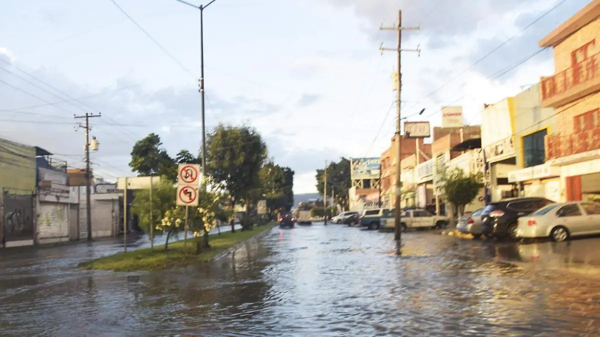 WhatsApp Image 2022-08-26 at 8.08.37 PM