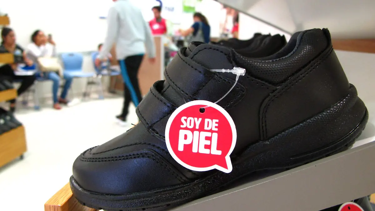 GGARCIA ZAPATOS (5)