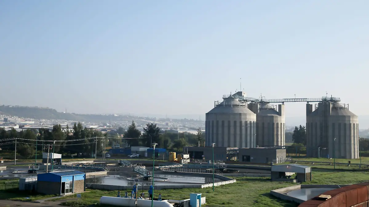 planta sapal (3)