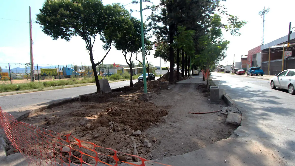 CICLOVÍA (2)