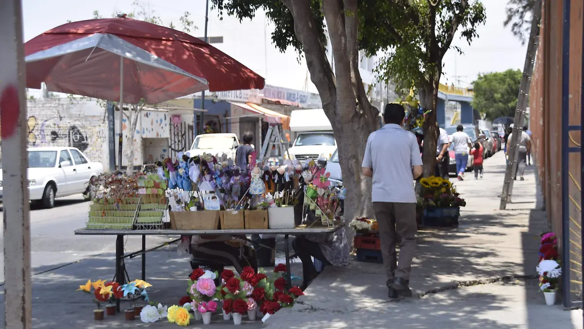 f carmona operativo panteones (8)