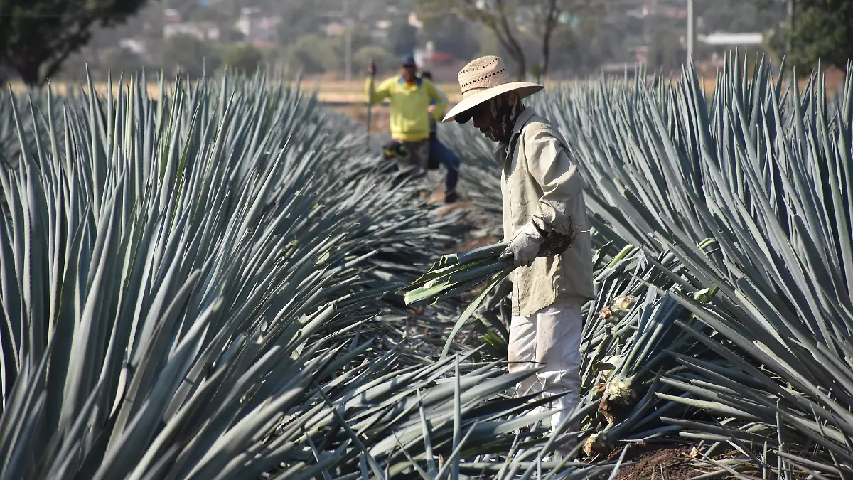Víctor-Villalobos-visitó-3-okokok