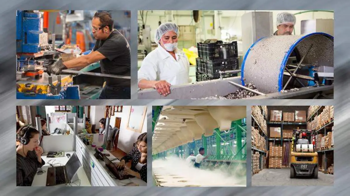 blog_22feb-FNE_categoria-02