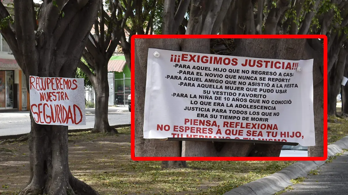 INSEGURIDAD (5)