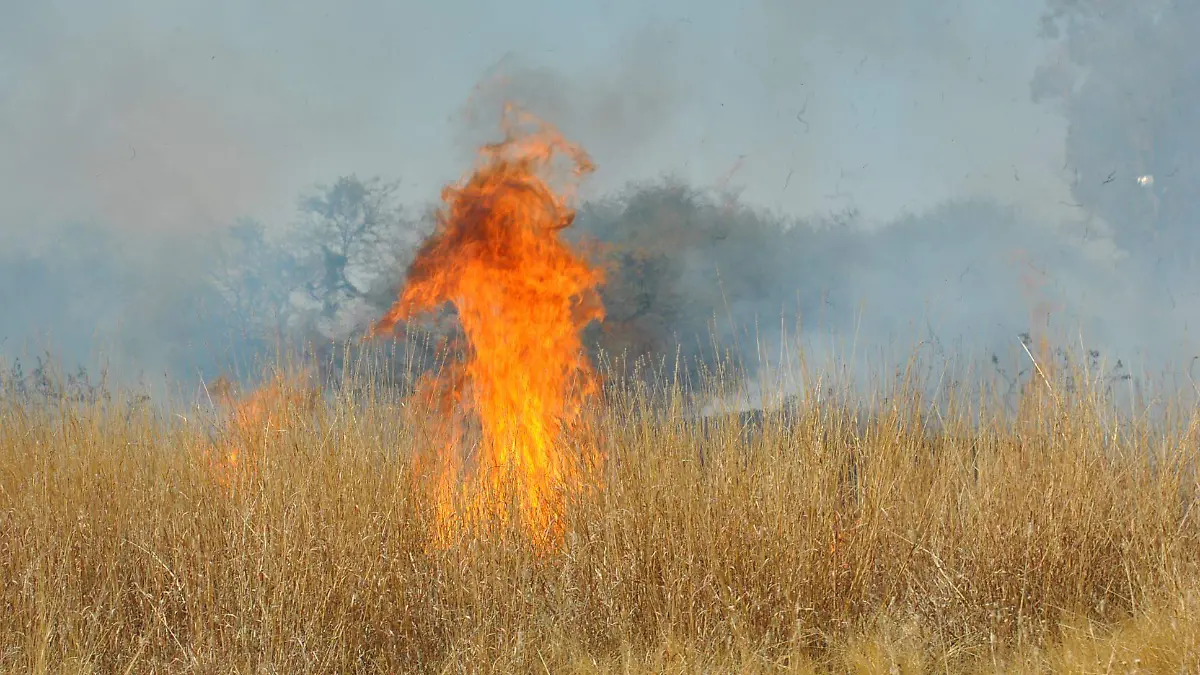 quema-de-esquilmo (3)