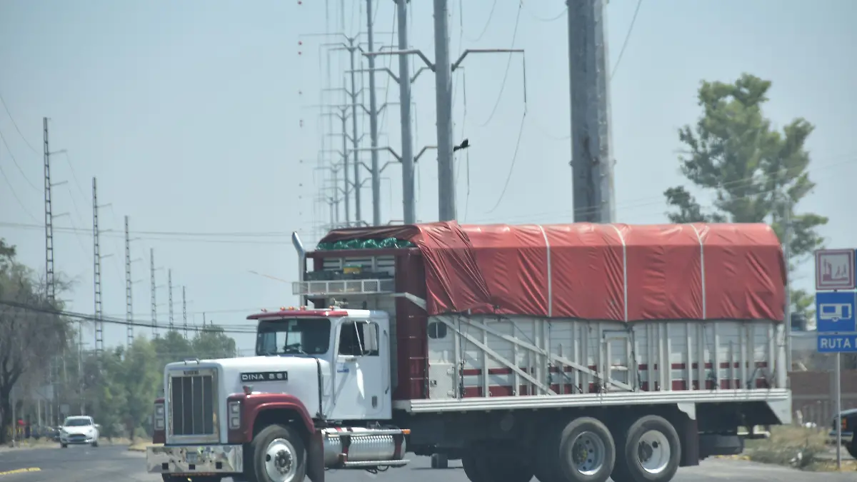 f carmona canacar (5)