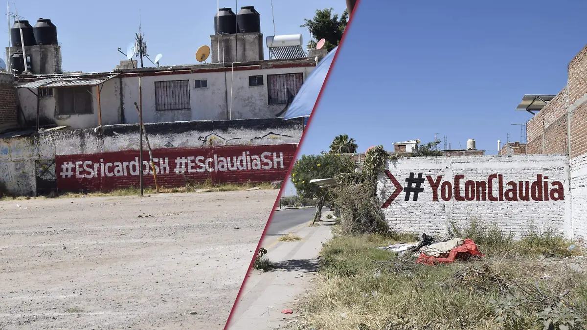 f carmona pintas morena (2)