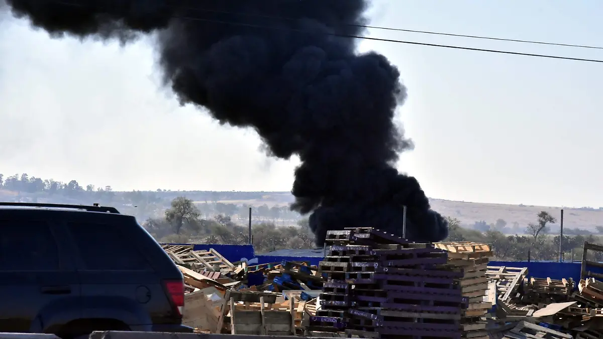 ECOLOGISTAS-INDICAN-CIUDAD-EL-MEDIO-AMBENTE (3)