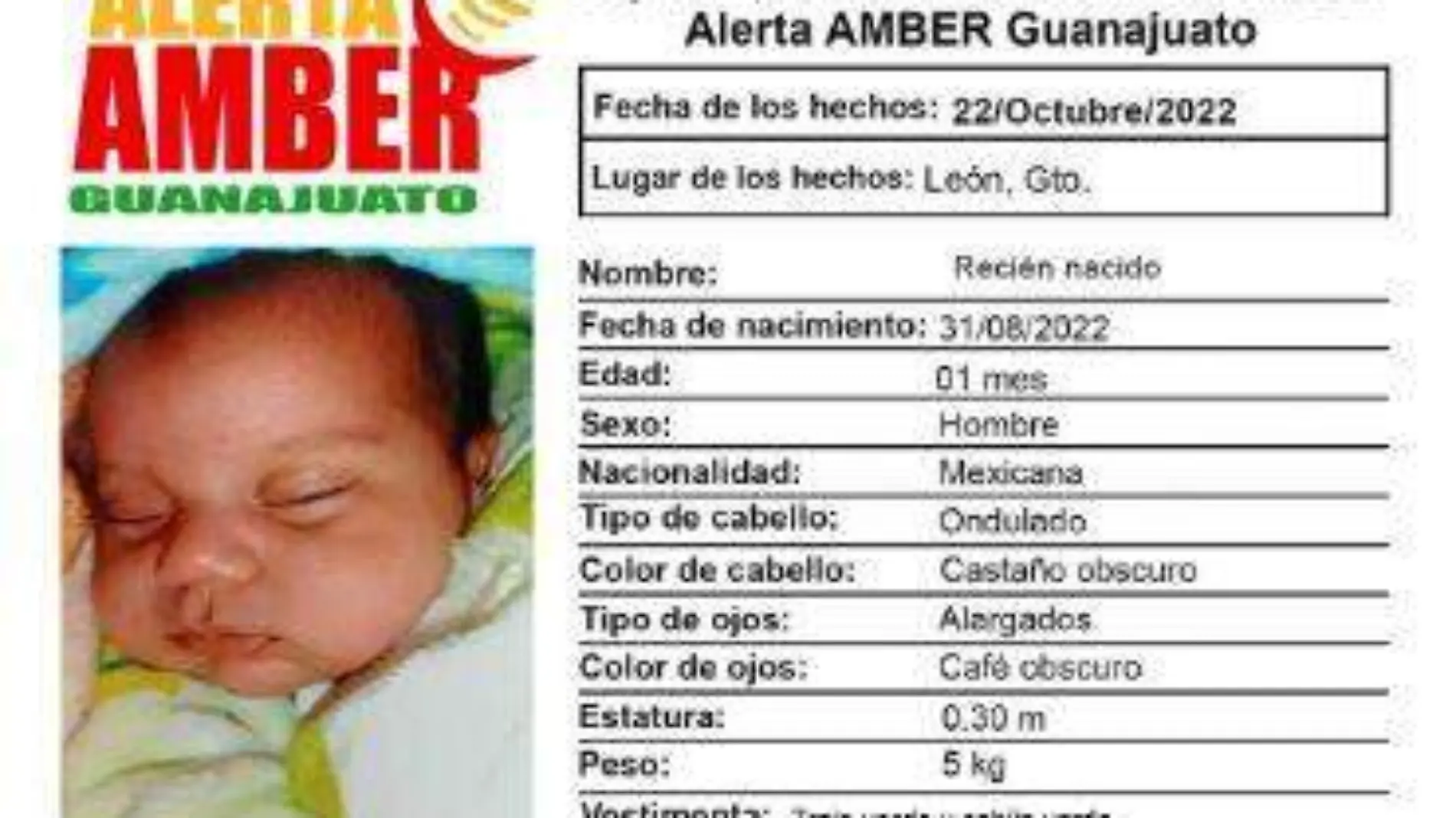 Alerta-Amber