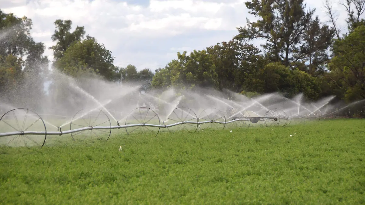 F CARMONA ZAPOTILLO SECRETARIO AGRICULTURA (7)