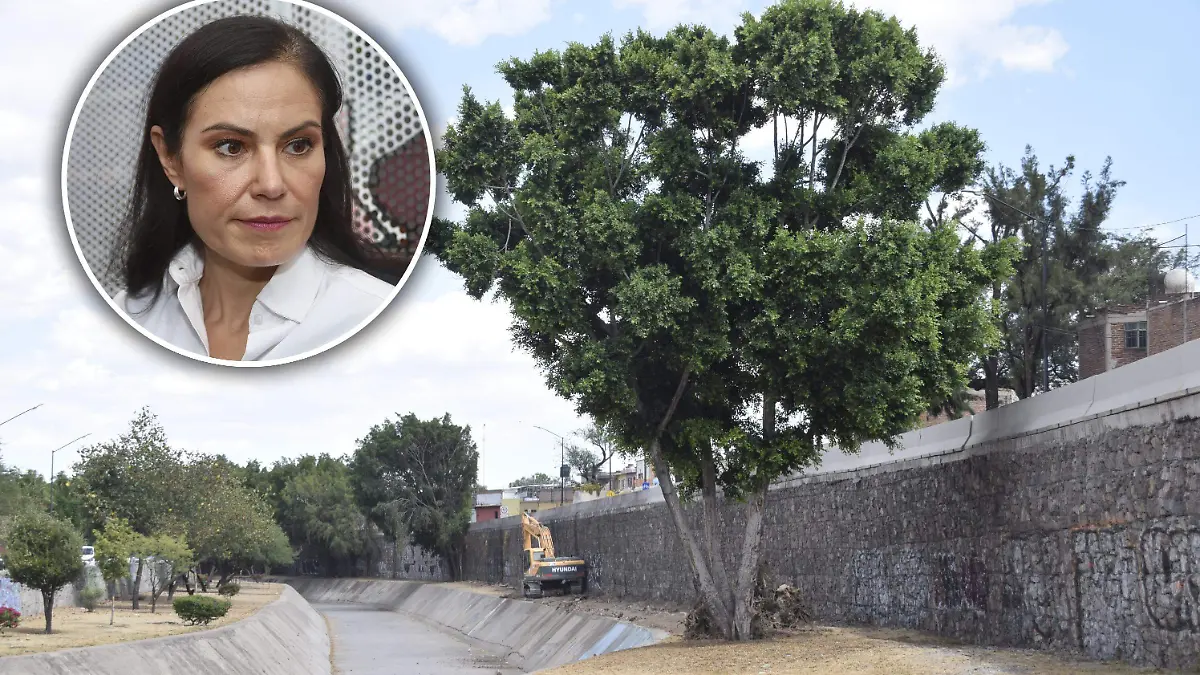 f carmona arboles MALECON DEL RIO(3)