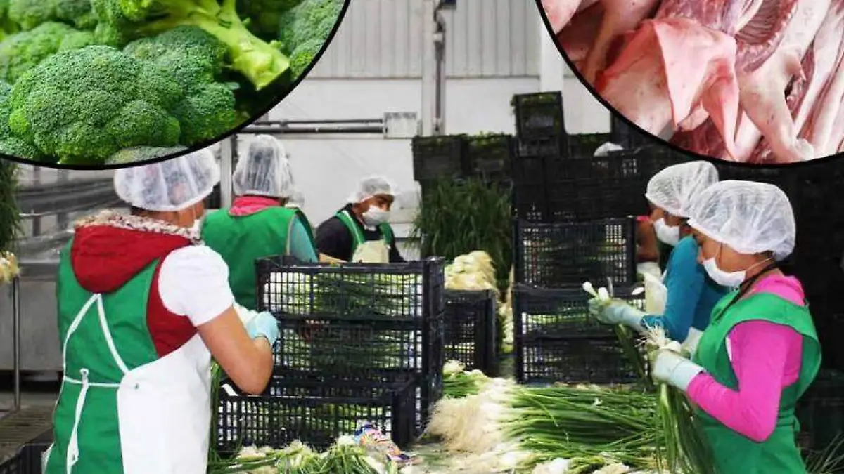 ALIMENTOS