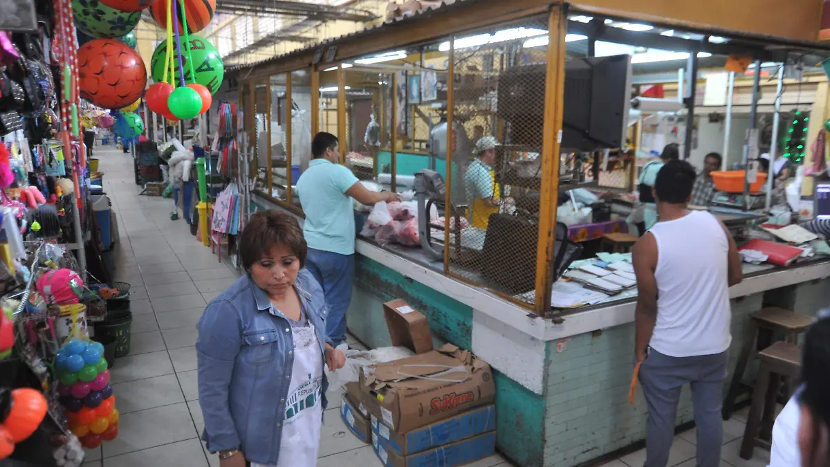 REPUBLICA (5)