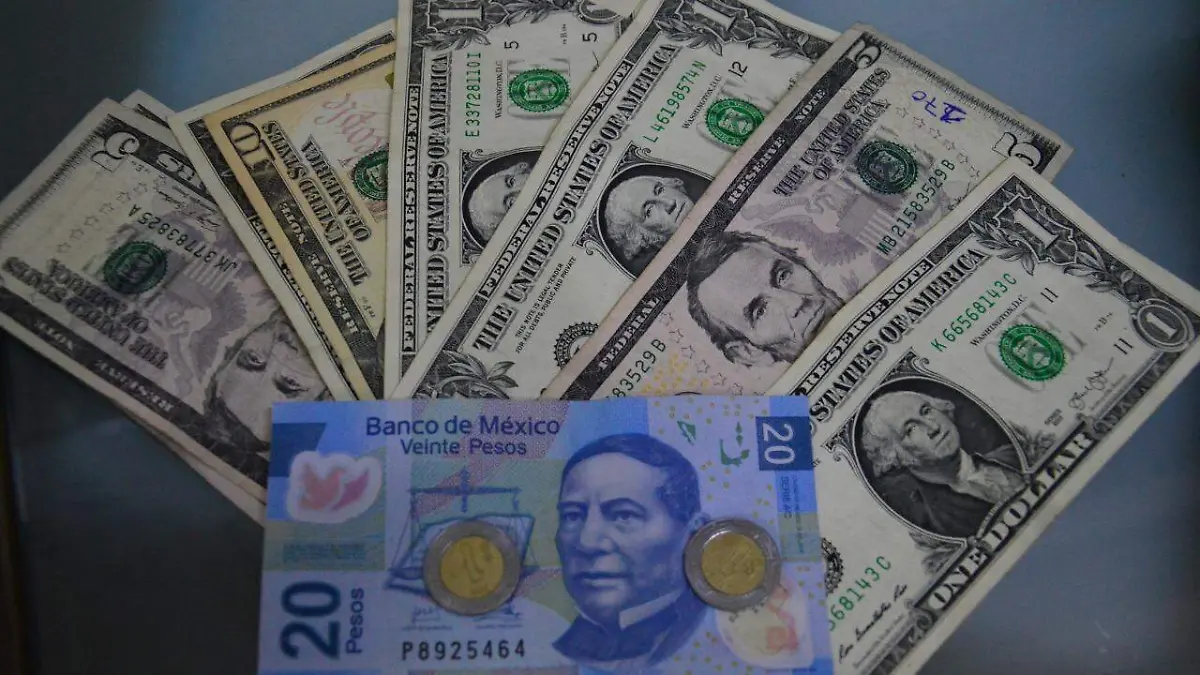 WhatsApp Image 2021-05-05 at 9.07.23 PM