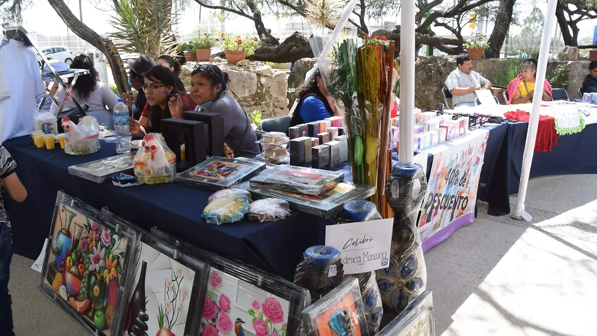f carmona trasplantes ventas (11)