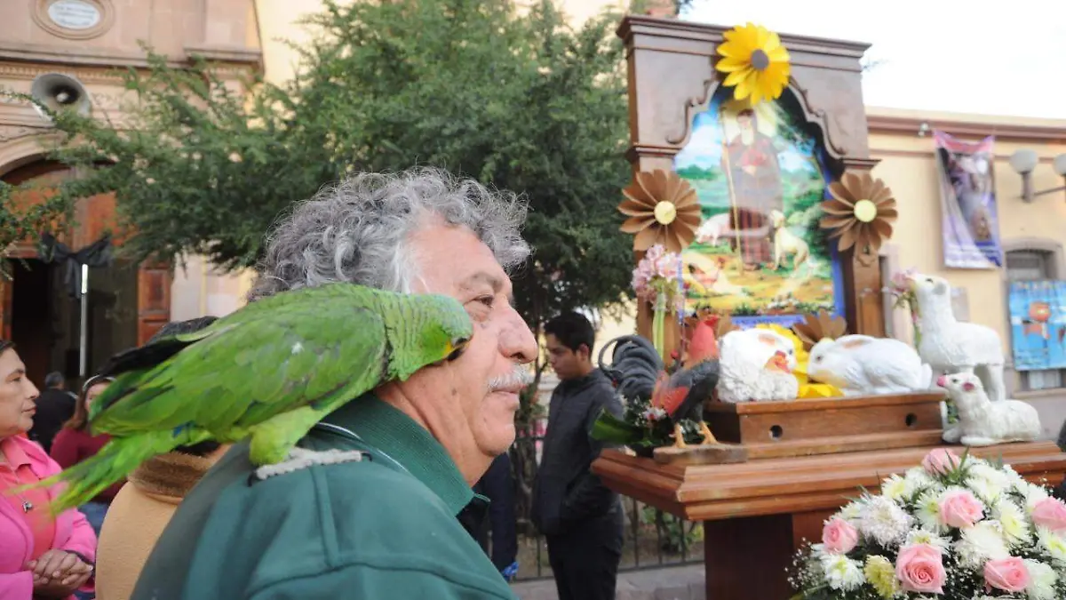 WhatsApp Image 2020-01-17 at 6.54.08 PM