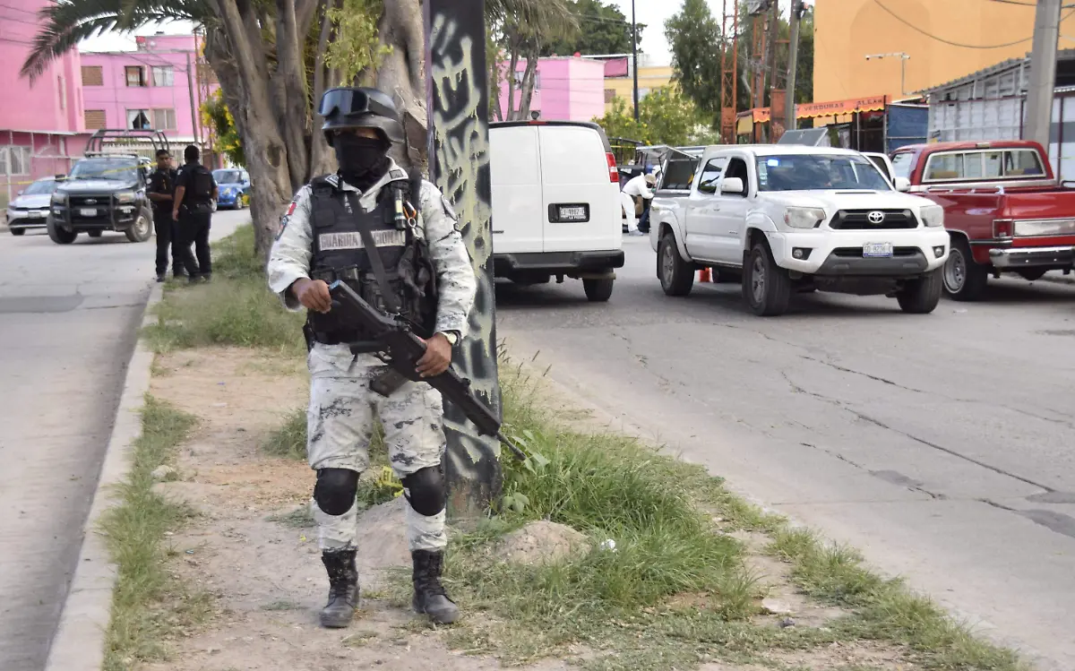 F CARMONA COPARMEX INSEGURIDAD (6)