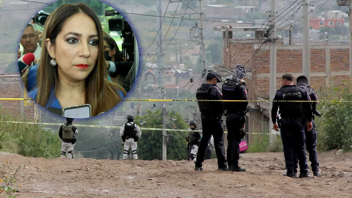 FCO MEZA - SEGURIDAD (2)