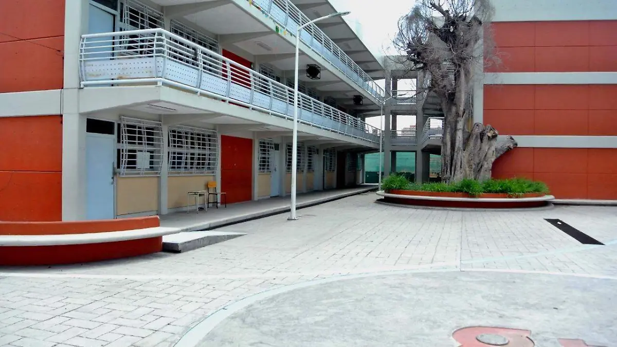 WhatsApp Image 2021-03-30 at 7.55.50 PM