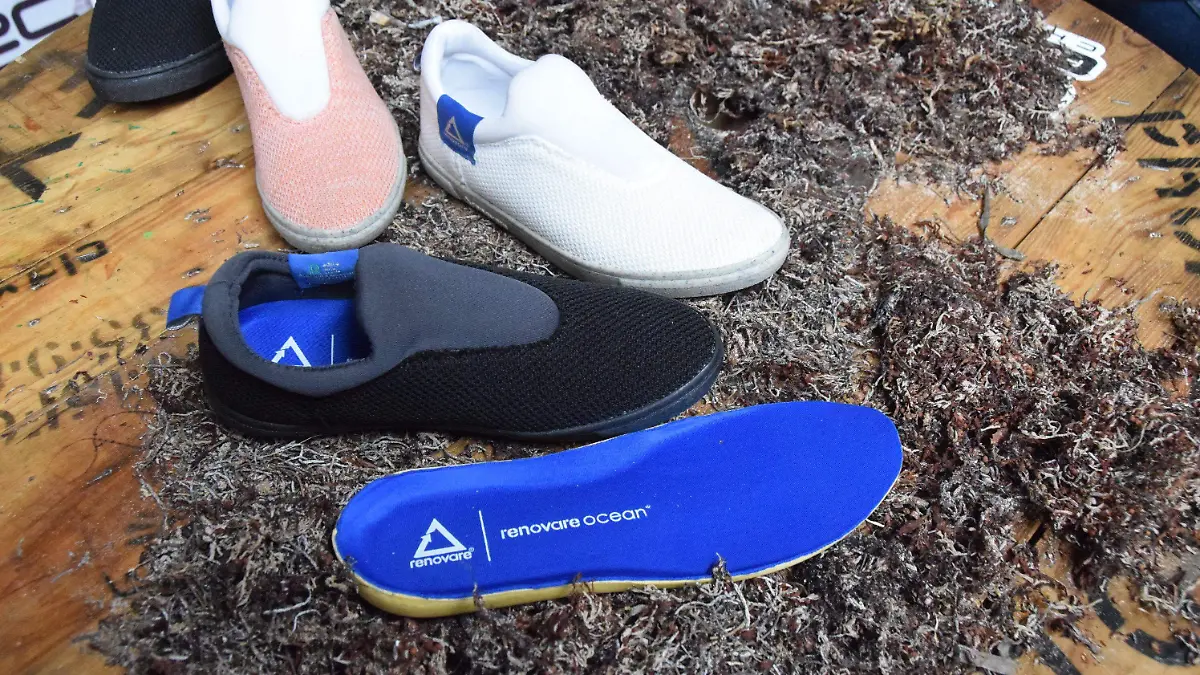 F CARMONA  MATERIALES NOVEDOSOSA(SARGAZO) (2)